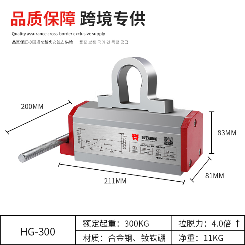 固定吊环300